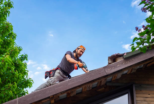 Best Gutter Installation and Repair  in Upper Grand Lagoon, FL